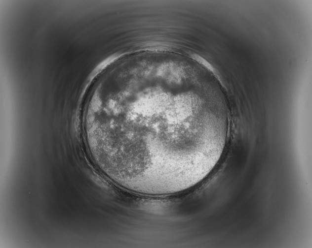X0000086231074200704051151