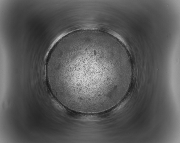 X0000086231075200704051151
