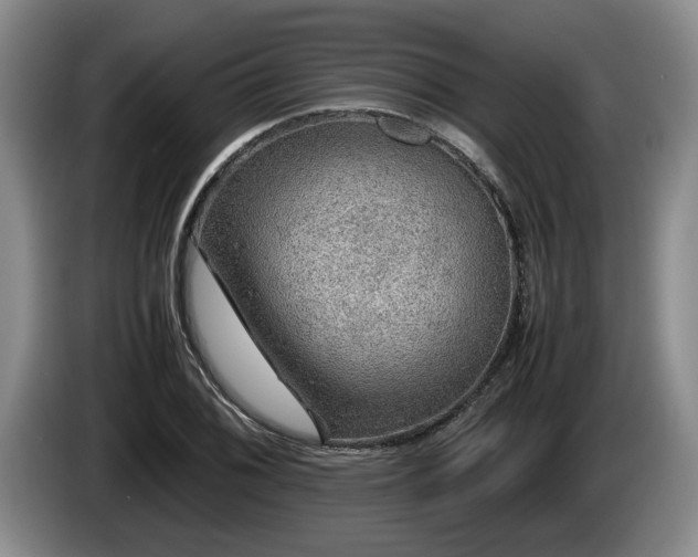 X0000086231076200704051151