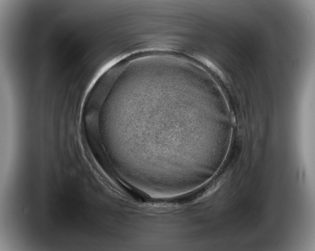 X0000086231077200704051151