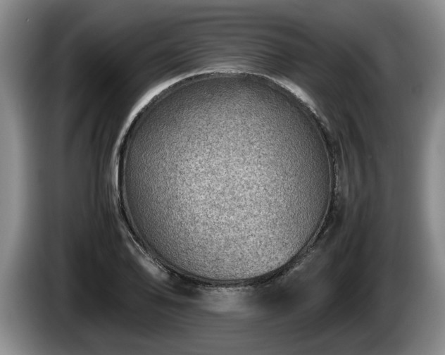 X0000086231078200704051151