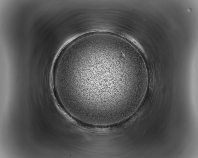 X0000086231080200704051151