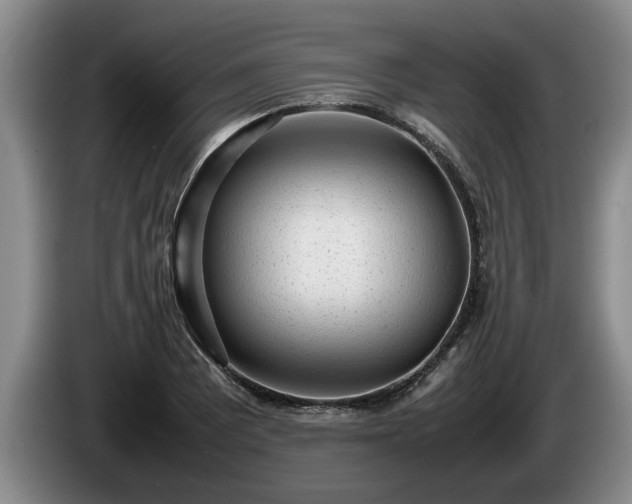 X0000086231081200704051151