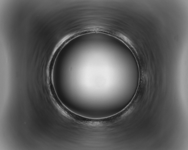 X0000086231082200704051151