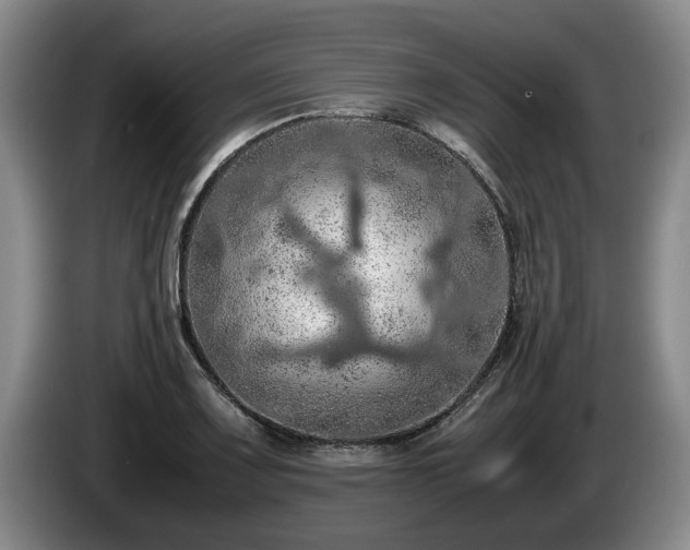 X0000086231083200704051151