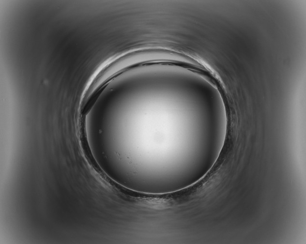 X0000086231085200704051151