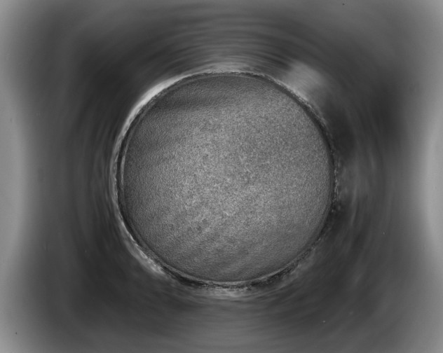X0000086231086200704051151