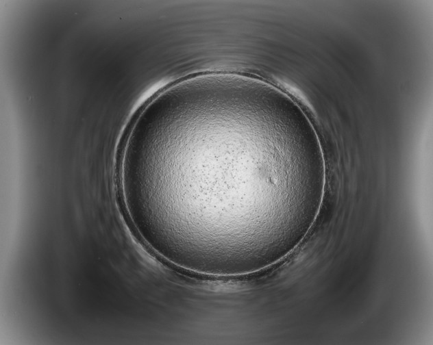 X0000086231087200704051151