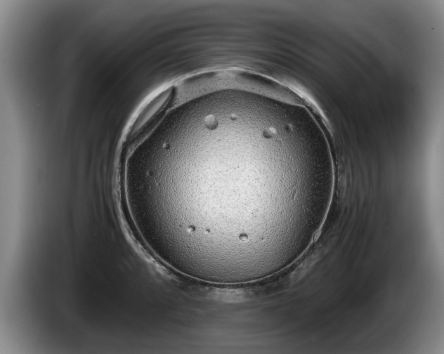 X0000086231088200704051151