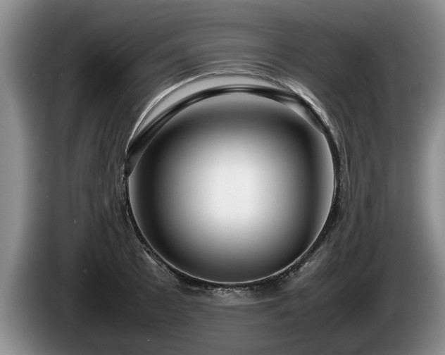 X0000086231089200704051151