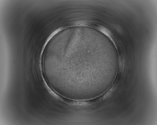 X0000086231090200704051151