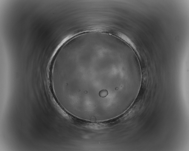 X0000086231091200704051151