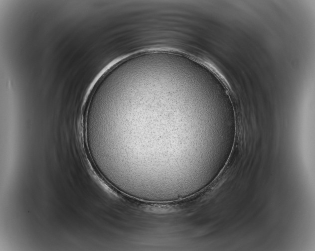 X0000086231092200704051151