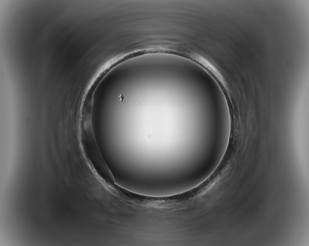 X0000086231093200704051151