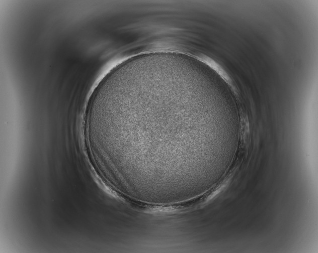 X0000086231094200704051151