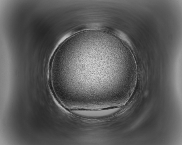 X0000086231095200704051151