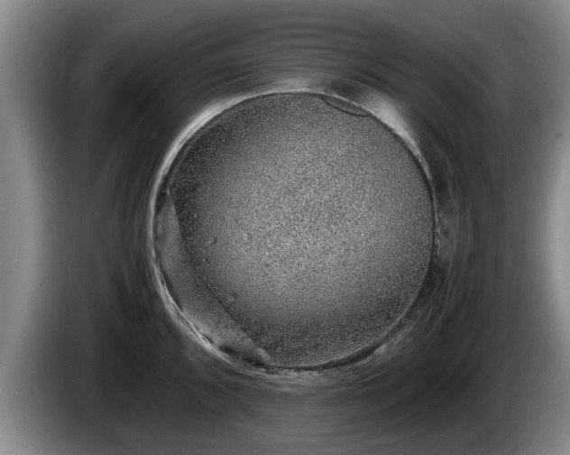 X0000086231096200704051151