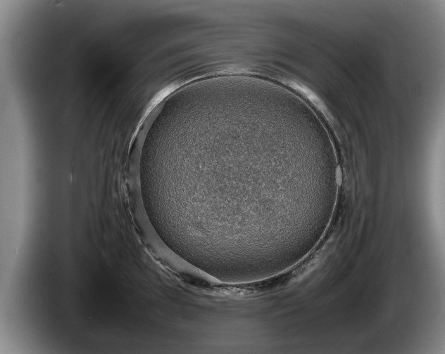 X0000086231097200704051151