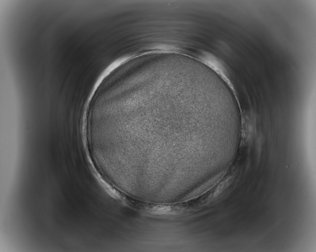 X0000086231098200704051151