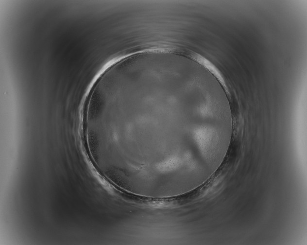 X0000086231099200704051151