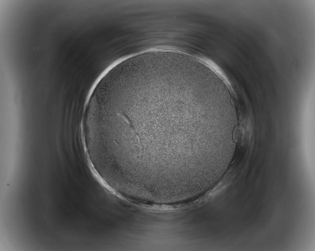 X0000086231100200704051151