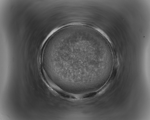 X0000086231101200704051151