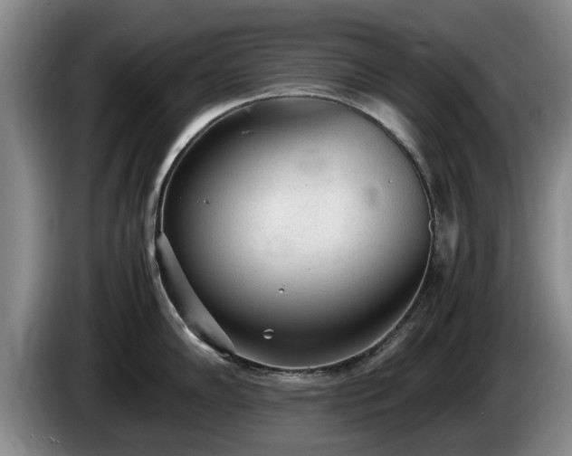 X0000086231102200704051151