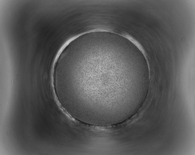X0000086231104200704051151