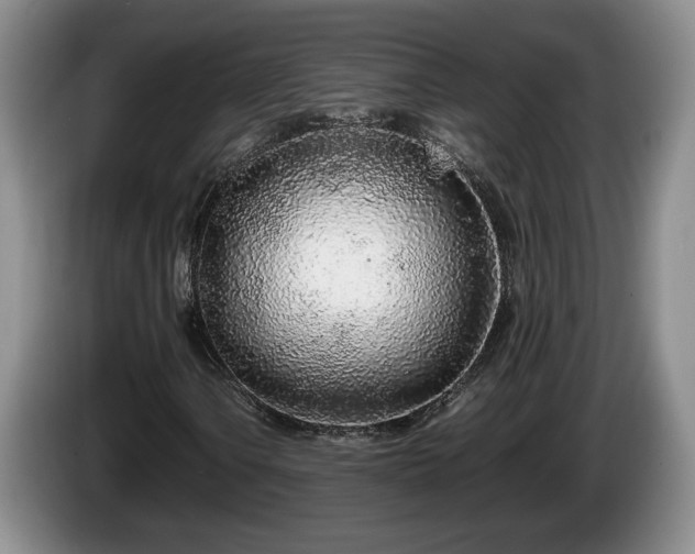 X0000086231106200704051150