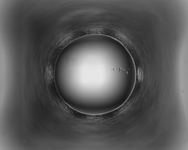 X0000086231107200704051150