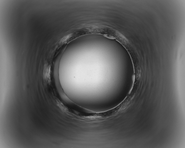 X0000086231108200704051150