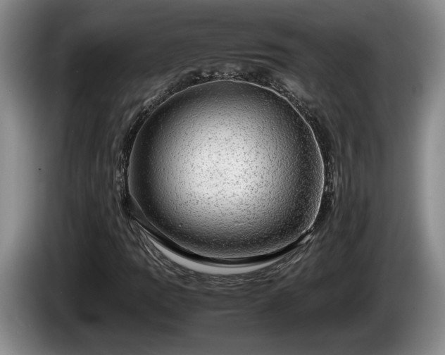 X0000086231109200704051150