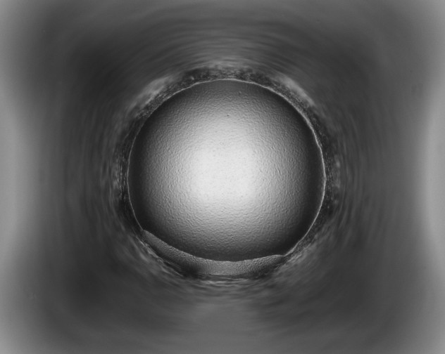 X0000086231110200704051150