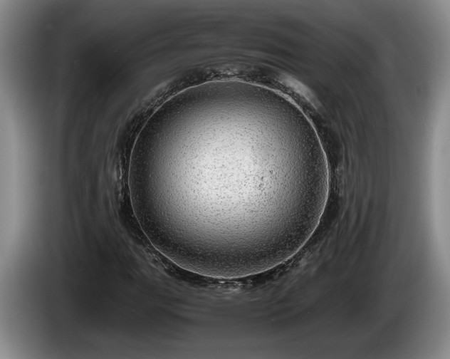 X0000086231111200704051150