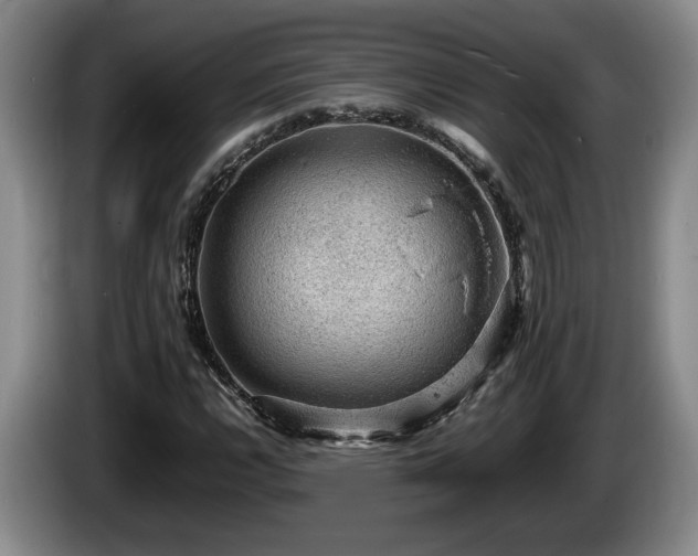 X0000086231112200704051150