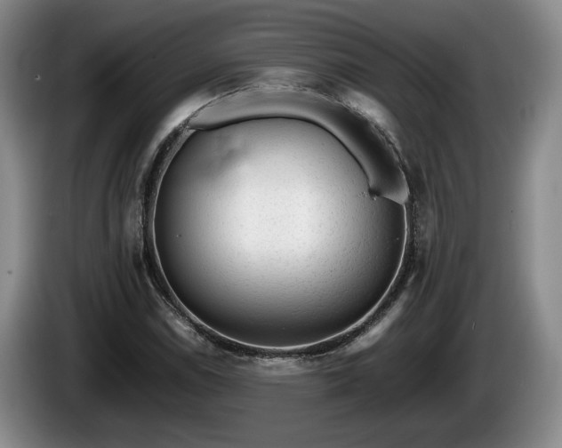 X0000086231114200704051150
