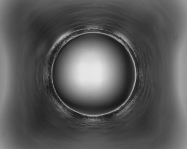 X0000086231115200704051150