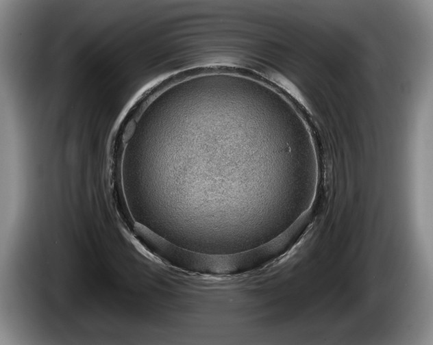 X0000086231116200704051150