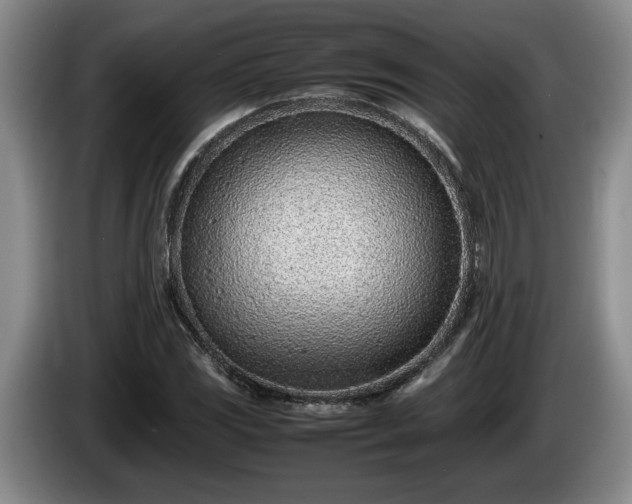 X0000086231117200704051150