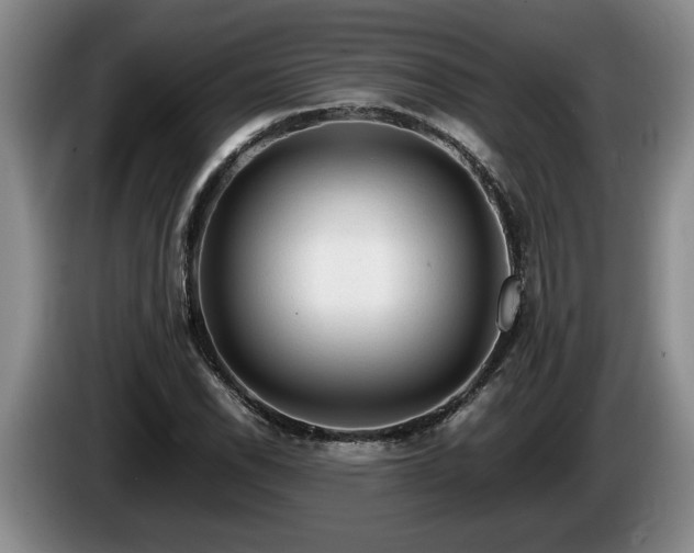 X0000086231118200704051150