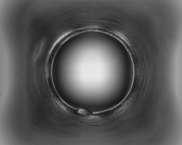 X0000086231119200704051150