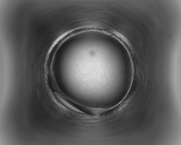 X0000086231120200704051150