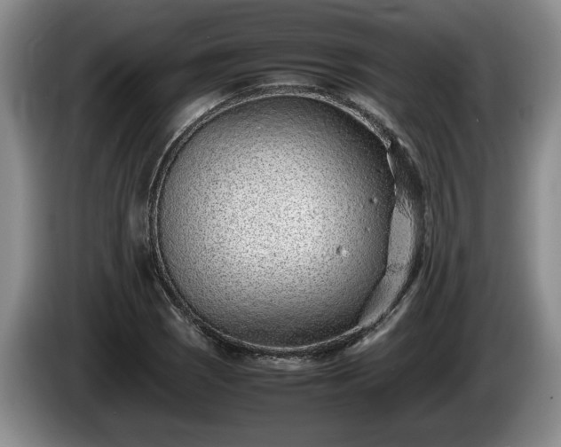 X0000086231121200704051150