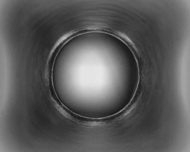 X0000086231122200704051150