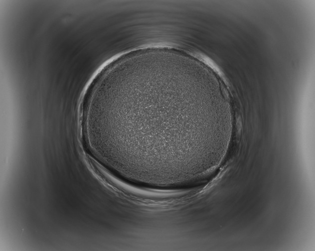 X0000086231124200704051150