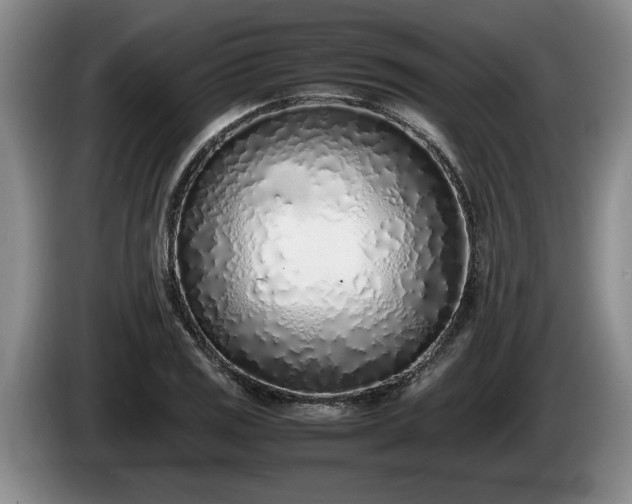 X0000086231125200704051150