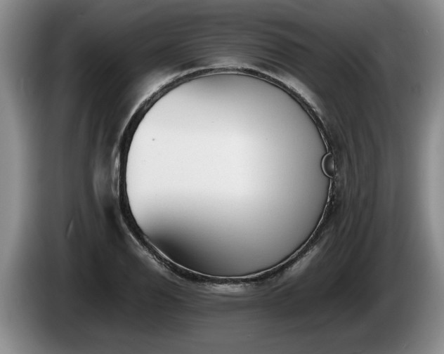 X0000086231126200704051150