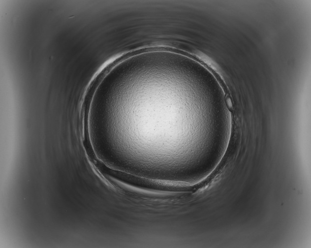 X0000086231127200704051150