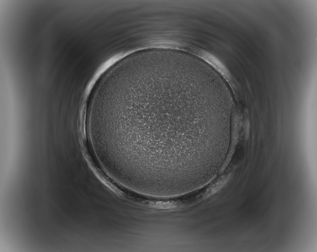 X0000086231128200704051150