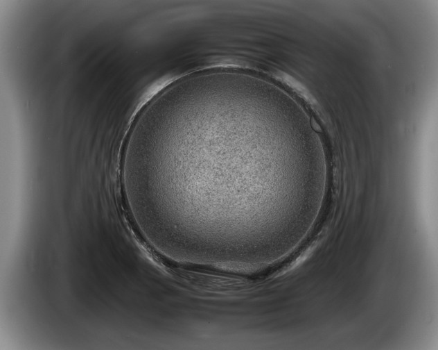 X0000086231129200704051150